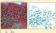 Luftbild in Infrarot und die daraus erstellte Bildklassifizierung geschädigter Baumkronen