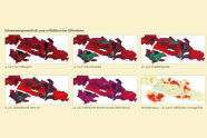 6 Karten, die im zeitlichen Verlauf die Fraßflächenentwicklung des Schwammspinners zeigen