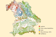 Grafik von Bayern zeigt die LWF-Baumartengruppenkarte.