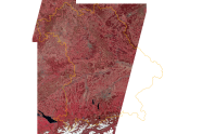 Grafik von Bayern zeigt eine Aufnahme des Sentinel-2 Satelliten als Color-Infrarot-Darstellung.