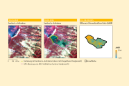 Grafiken zeigen die Sentinel-2 Aufnahmen des Waldbrands.
