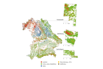 Bayernkarte mit einer Baumartengruppenkarte hinterlegt
