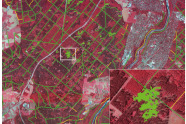 Luftbildaufnahme, grün-rot eingefärbt
