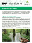 MB49 Amphibienschutz im Wald - Deckblatt