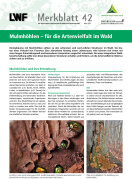 Deckblatt LWF-Merkblatt 42 _Mulmhöhlen – für die Artenvielfalt im Wald