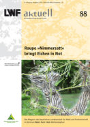 Titelseite der LWF-aktuell-Ausgabe: "Raupe "Nimmersatt" bringt Eichen in Not"