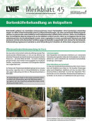 Titel LWF-Merkblatt 45 Borkenkäferholz