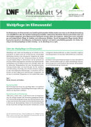 Titelseite_MB54 - Waldpflege