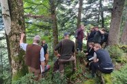 Eine Gruppe Forstleute im Bergwald