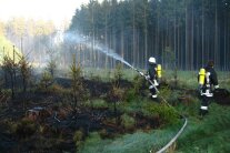 Feuerwehrmänner löschen einen Brand im Wald