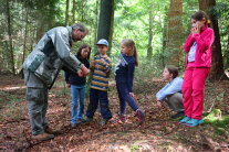 Förster zeigt Kindern im Wald etwas in seiner Hand