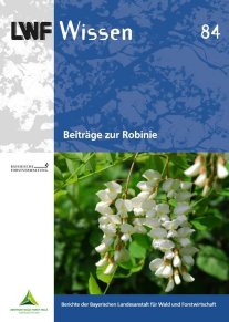 Blauer Hefttitel mit Abbildung einer großen weißen Blütendolde.