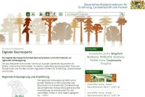 Auszug aus der Webseite für den "Digitalen Baumexperten"