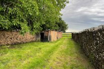 Waldrand mit viel aufgestapeltem Brennholz