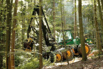 Forstmaschine mit Kran in einem Mischwald