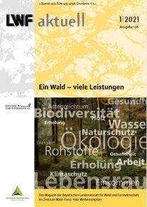 Gelber Hefttitel mit Waldabbildung und weißen Stichworten.
