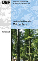 Titel des LWF-Faltblattes zur WKS Mitterfels, Ungleichaltriger Buchenbestand mit Messgeräten. 