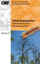 Schwammspinner-Faltblatt Titel