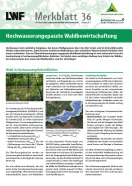 Titel LWF-Merkblatt 36 Hochwasser