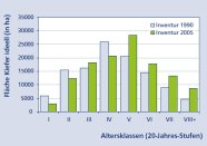 Dargestellt ist die Alterklassenverteilung der Kiefer in Bezug auf die ideelle Fläche im Bayerischen Staatswald. Den größten Flächenanteil nimmt die Kiefer in der fünften Altersklasse ein.