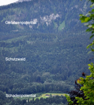 Schutzwald an einem Berghang mit Anwesen auf einer Bergwiese am Unterhang.