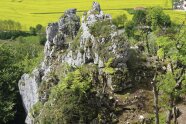 Dolomit-Felsenbereich bewachsen mit Eichen und Mehlbeeren.