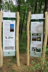 Informationstafel zu dem Projekt im Wald