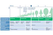 Phasenmodell der Entwicklung von Waldbeständen - Waldbauliches Grundlagenmodell