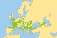 Karte von Europa mit grünen Bereichen im Süden