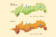 Grafische Darstellung der bayerischen Alpen zeigt das Störungsrisiko für Gebirgswälder in den bayerischen Alpen