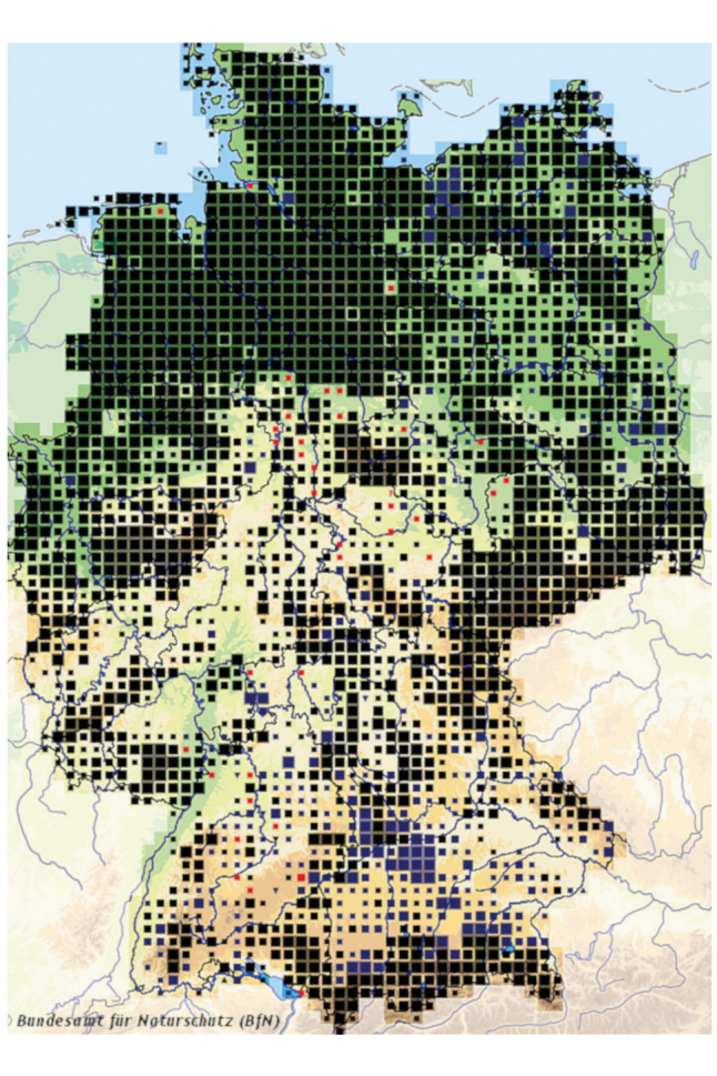 Karte Deutschlands mit Moorbirkenvorkommen: Nord-, Ostdeutschland und Alpen