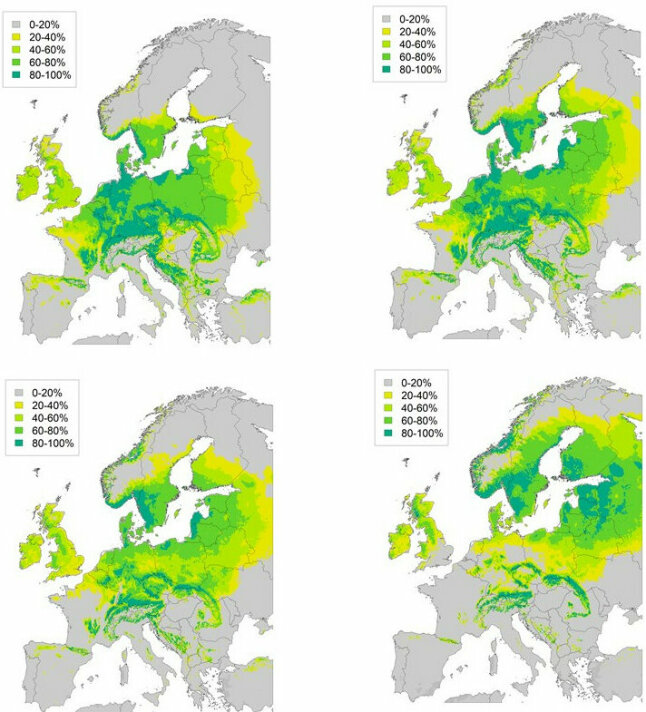Modellierung für Europa zeigt Vorkommenswahrscheinlichkeiten der Buche im Klimawandel