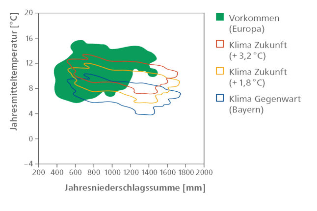 Diagramm mit einer grünen Fläche für das heutige Vorkommen und mehreren verschiedenfarbigen Kreisen für künftige Klimabereiche der Robinie. Die x-Achse zeigt die Jahresniederschlagssume in mm, die y-Achse die Jahresmitteltemperatur in Grad Celsius.