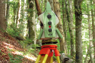 Ein rotes Gerät steht auf drei langen gelben Beinen im Wald