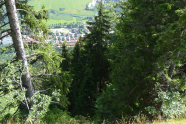 Blick vom Berg ins Tal. Direkt am Fuß liegt eine Siedlung, welche vom Wald geschützt wird