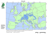 Europakarte mit blau eingezeichneten Verbreitungsgebieten der Weißtanne. 