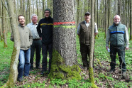 Fünf Männer stehen in einem Wald