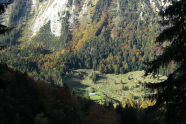 Blick auf ein Alpental mit Alm und Weide, darüber Wald, darüber schroffer Fels und Geröllhalde.