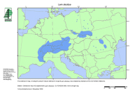 Europakarte mit blau eingezeichneter Verbreitung der Europäischen Lärche
