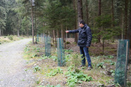 Ein Mann steht im Wald und zeigt auf eine Forststraße.