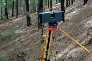 Laserscanner im Wald