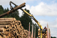 Holz wird vom Polter auf einen LKW verladen