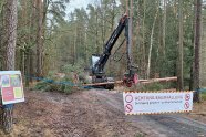 Abgesperrter Waldweg mit Holzerntemaschienen im Hintergrund