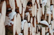 Viele Holzstämme übereinander gestapelt und leicht mit Schnee bedekt.