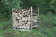 Aufgestapeltes Brennholz