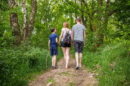 Rückansicht junger Eltern, welche mit Sohn durch den Wald wandern.