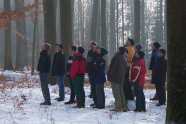 Gruppe von Männern steht im Wald und guckt Bäume an.