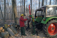 Mann spaltet mit einem hydraulischen Holzspalter Brennholz