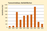 Säulendiagramm zeigt die Meldungen der Tannentrieblaus-Befallsflächen.