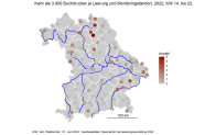 Bayernkarte zeigt räumliche Schwerpunkte der Borkenkäferfänge